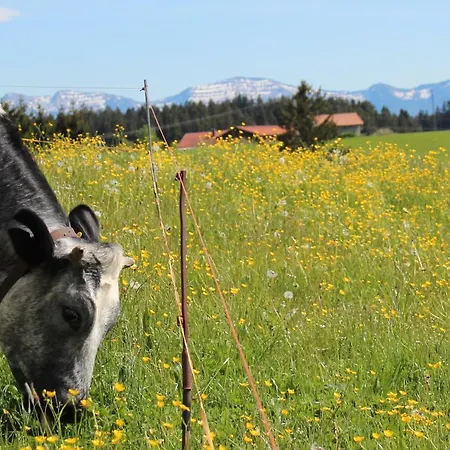 شقة Allgaeu Schoenberger Argenbuhl