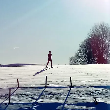 Allgaeu Schoenberger Διαμέρισμα *