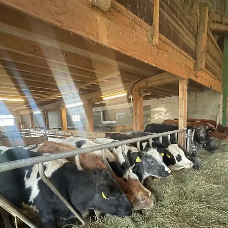 Allgaeu Schoenberger Διαμέρισμα Argenbuhl