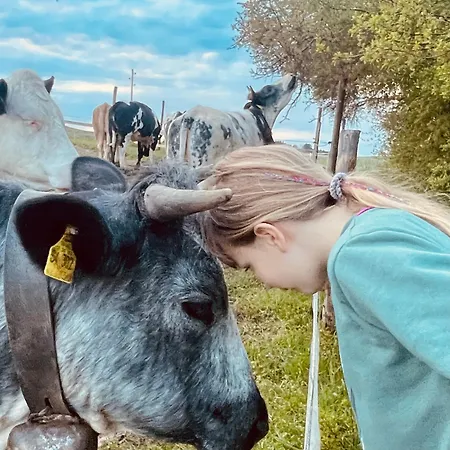 Allgaeu Schoenberger *