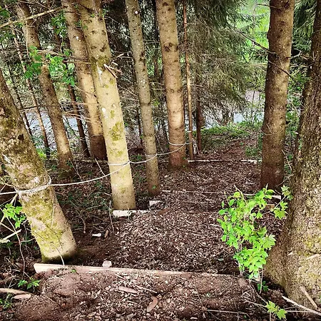 Allgaeu Schoenberger * Argenbuhl