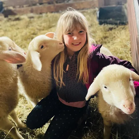 Allgaeu Schoenberger شقة