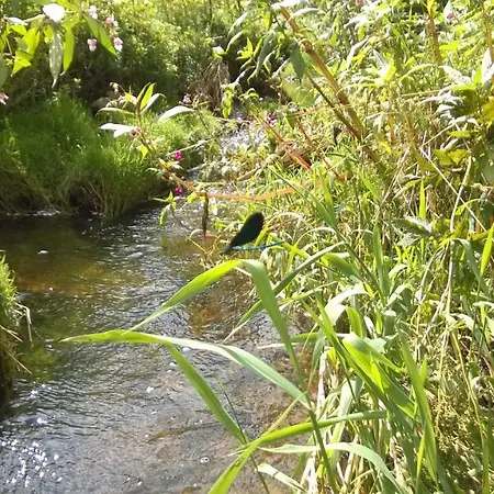 Allgaeu Schoenberger