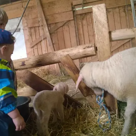 Allgaeu Schoenberger