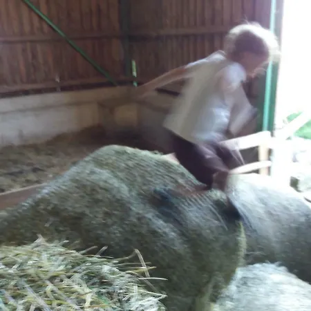 Διαμέρισμα Allgaeu Schoenberger