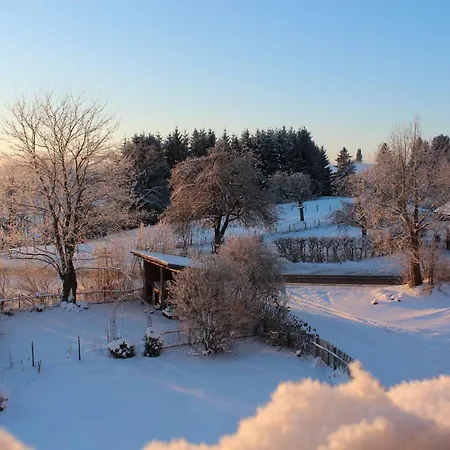 Allgaeu Schoenberger *