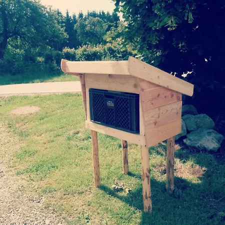 Allgaeu Schoenberger *