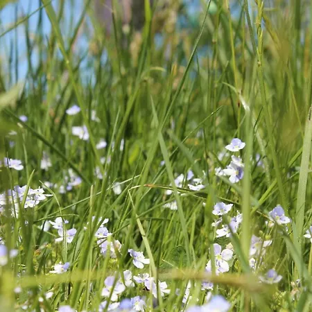 Allgaeu Schoenberger شقة *