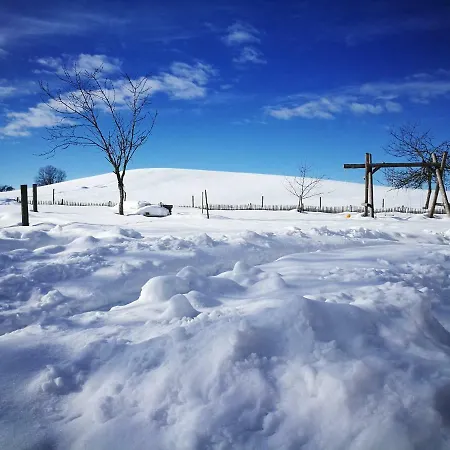 Allgaeu Schoenberger * Argenbuhl